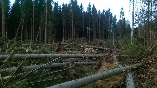 Destroyed track for biathlon: On routes lie huge trees broken like matchsticks